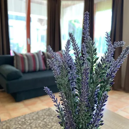 Gasthof Levendula Vendeghaz 3*