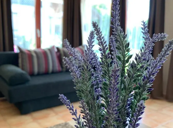 招待所 Levendula Vendeghaz 3*