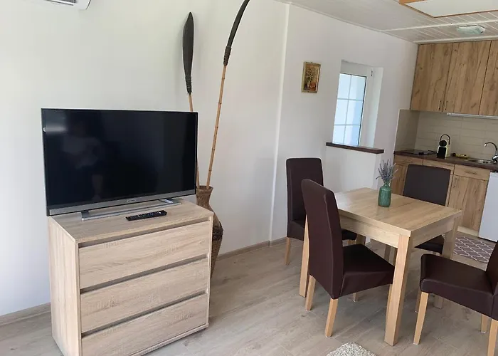 Levendula Vendeghaz Pensiune