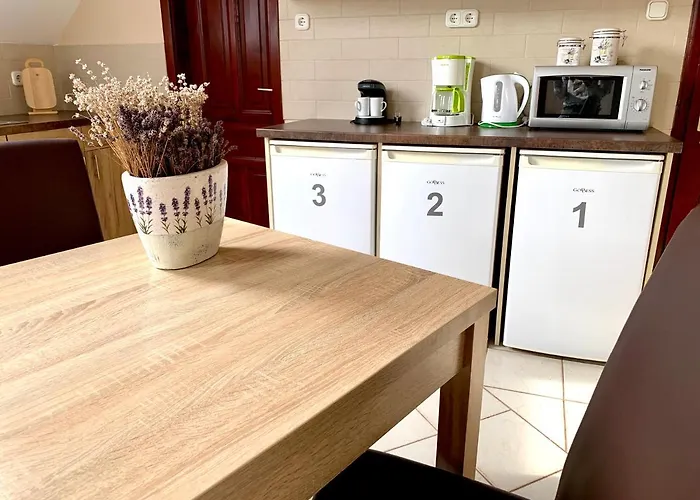 Levendula Vendeghaz Bük