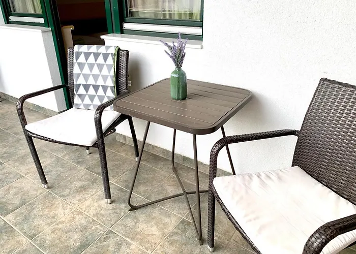 Levendula Vendeghaz Pensiune